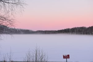 Новогодняя смена в Гарболово