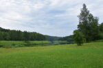 Летняя выездная школа в Новгородской области
