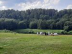 Летняя выездная школа в Новгородской области