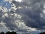 Летняя выездная школа в Новгородской области